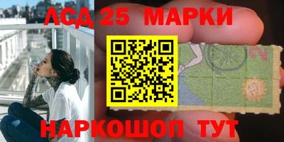 гидропоника Кулебаки