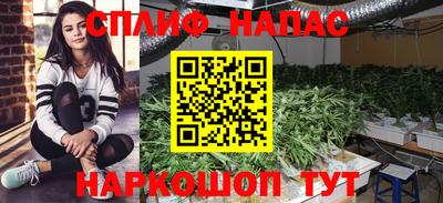 каннабис Кунгур