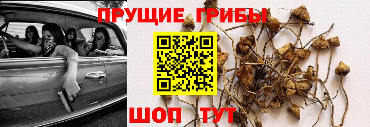 Псилоцибиновые грибы ЛСД Иваново